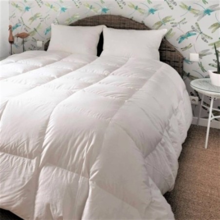 Couette king size Mi-saison canard, Taille couette: 300x240 cm