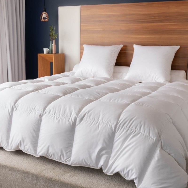 Couette Hiver canard, Taille couette: 260x240 cm