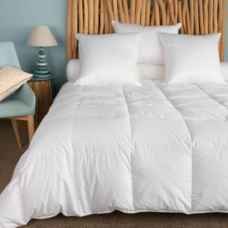 Couette king size Été canard, Taille couette: 280x240 cm