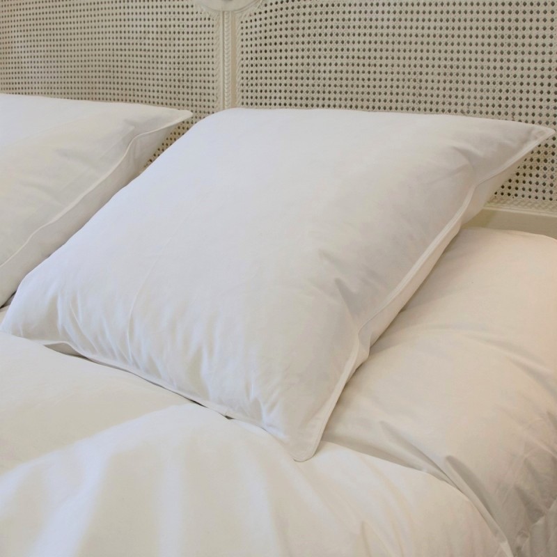 Oreiller Duvet-Plumettes, Dimension: 60x60 cm