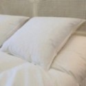 Oreiller Duvet-Plumettes, Dimension: 60x60 cm