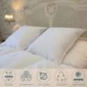 Oreiller Duvet-Plumettes, Dimension: 60x60 cm
