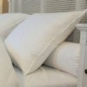 Oreiller Duvet-Plumettes, Dimension: 65x65 cm