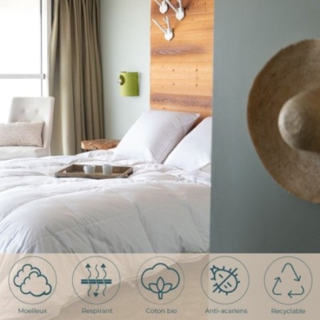 Oreiller bio et écologique 90% duvet, Dimension: 65x65 cm